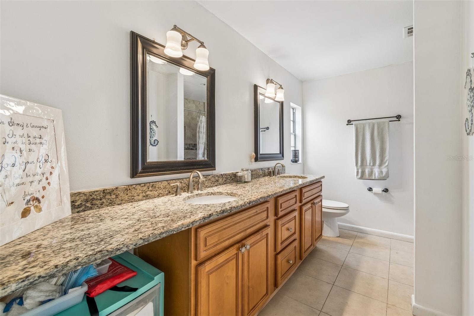 3708 SAND PEBBLE DR, VALRICO, FL, 33596