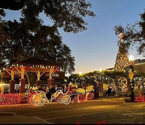 250 N WALKER ST, OAKLAND, FL, 34760