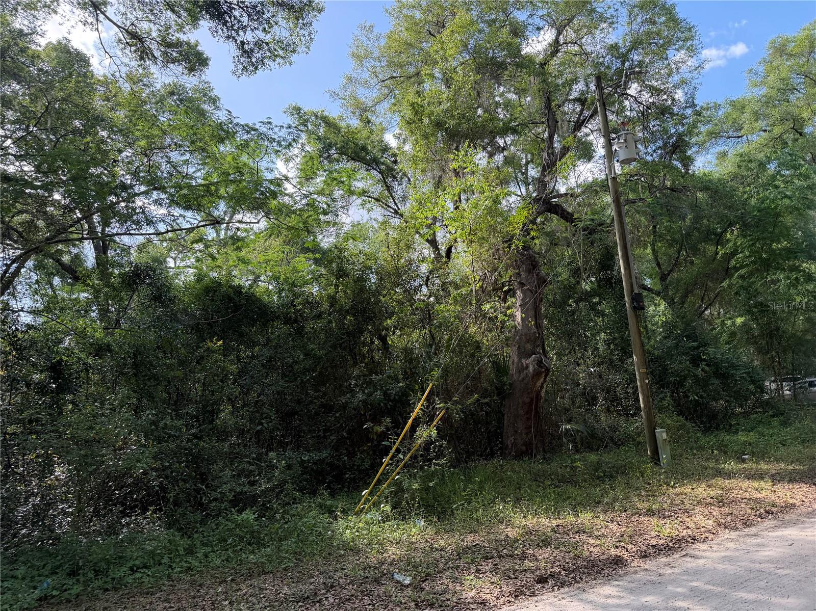 1410 NW 10TH ST, CHIEFLAND, FL, 32626