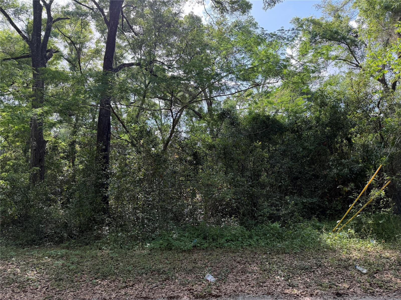 1410 NW 10TH ST, CHIEFLAND, FL, 32626