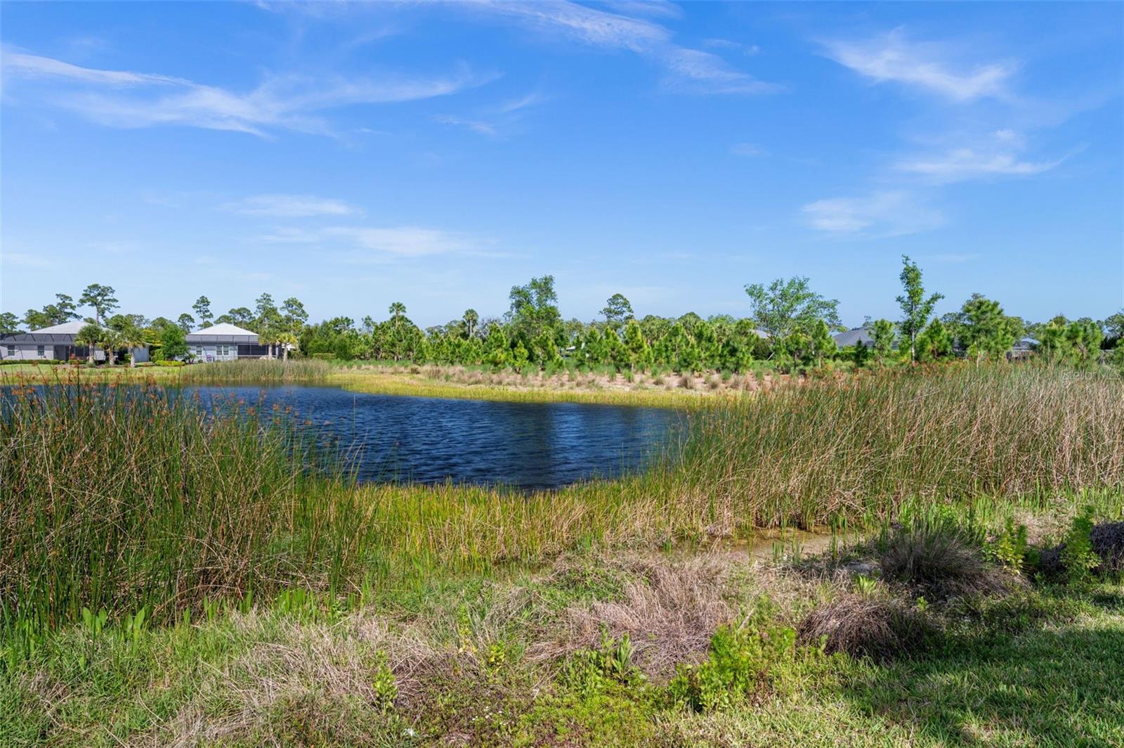 16081 PENNYROYAL LN, PUNTA GORDA, FL, 33982