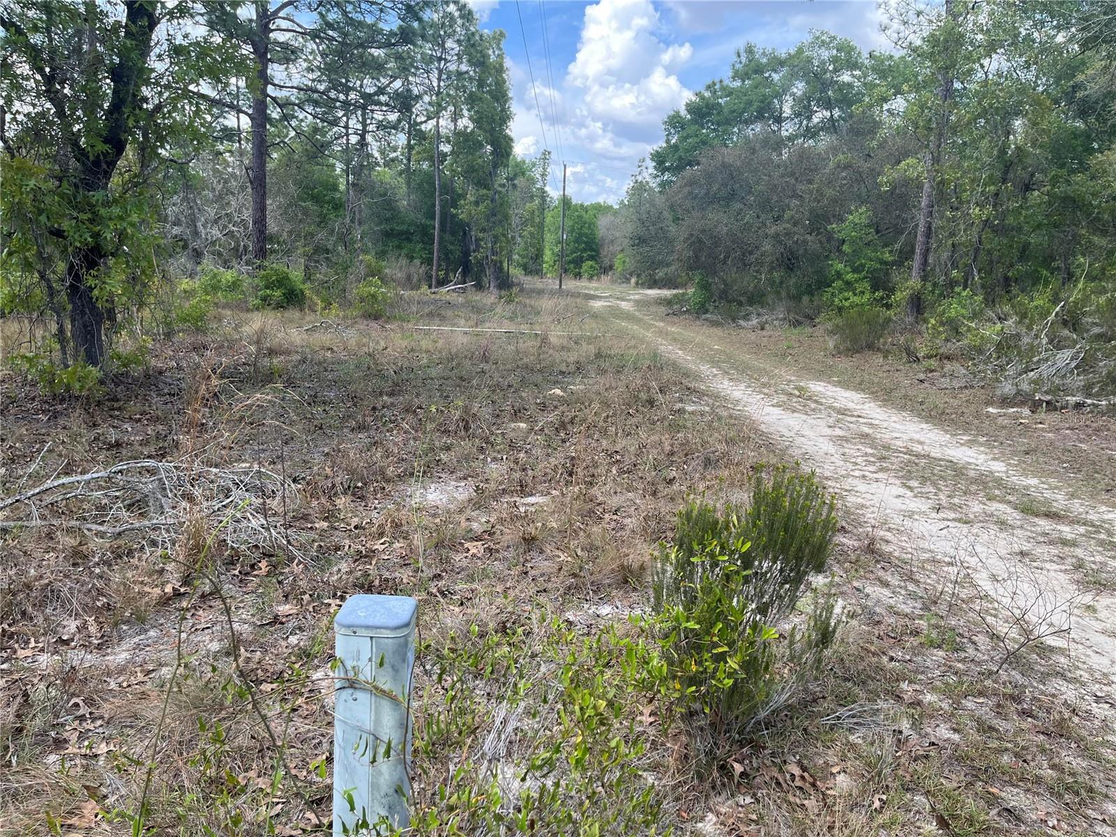 NE 96 AVE #LOT 5, BRONSON, FL, 32621