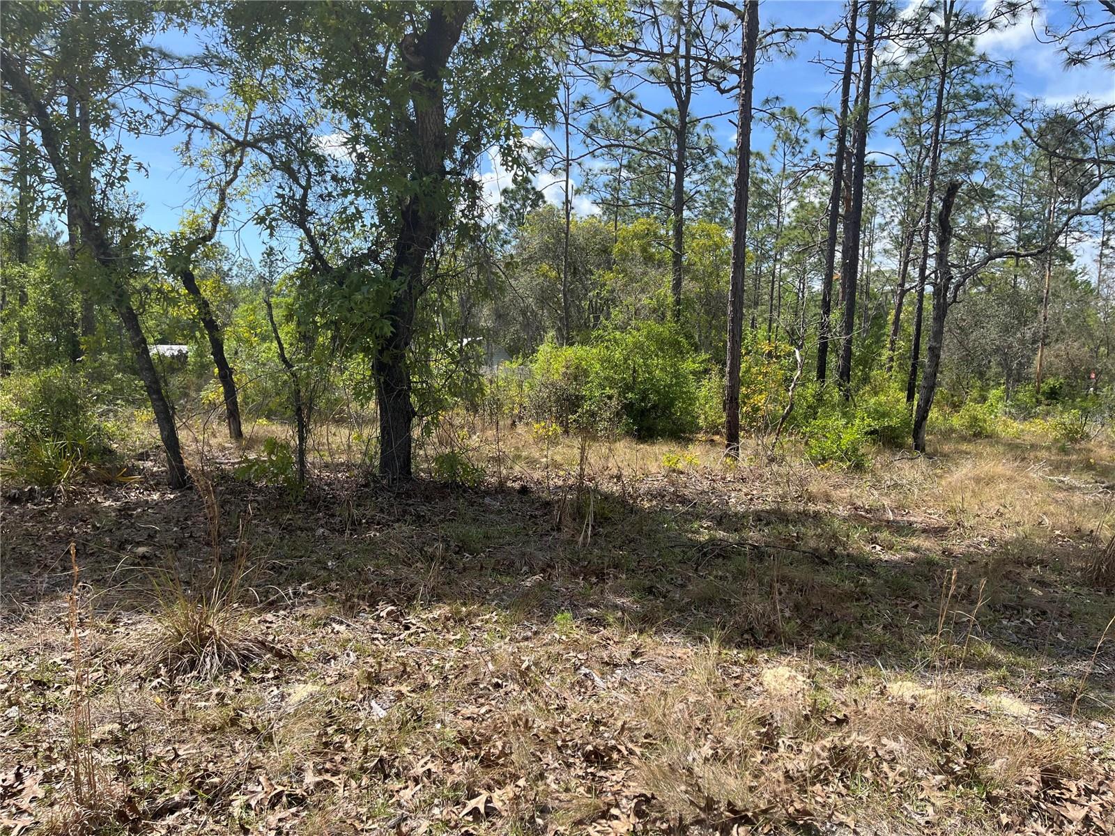 NE 96 AVE #LOT 5, BRONSON, FL, 32621
