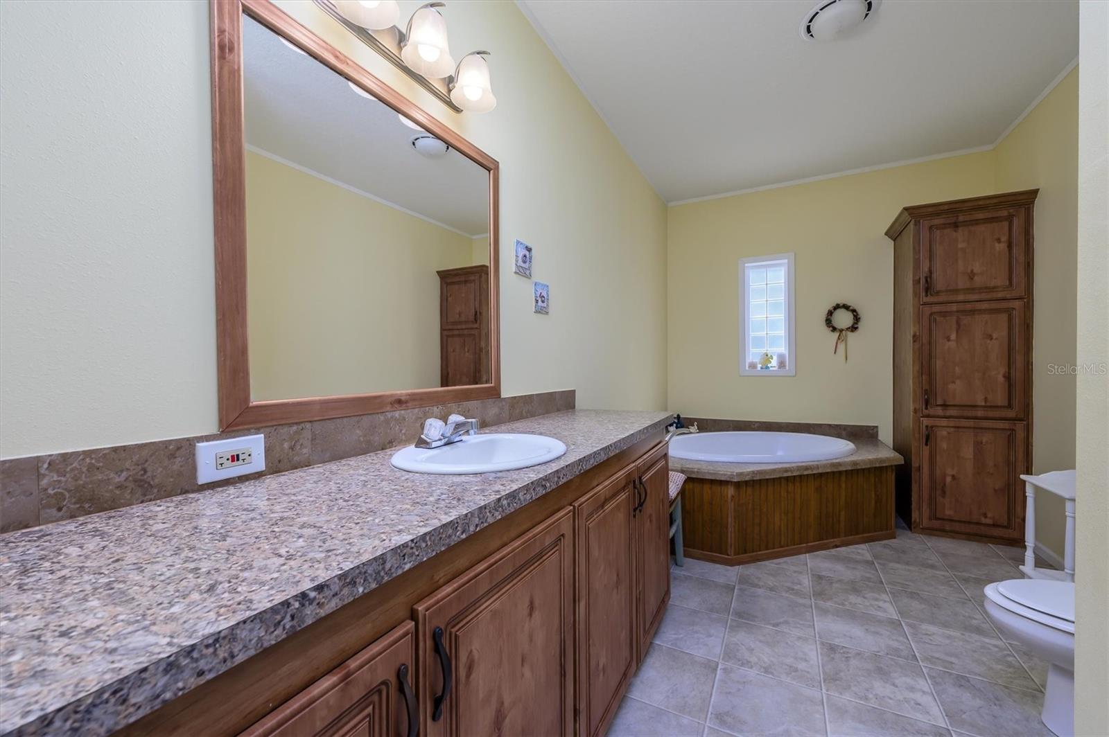 30230 PALM LN, WESLEY CHAPEL, FL, 33545