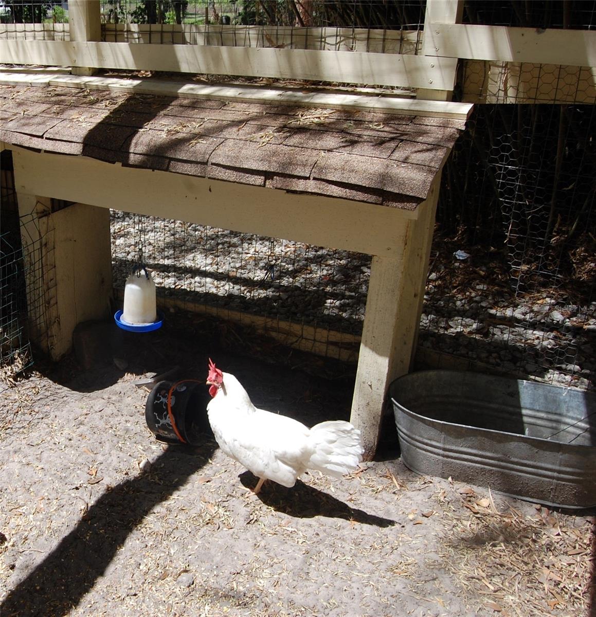 30230 PALM LN, WESLEY CHAPEL, FL, 33545