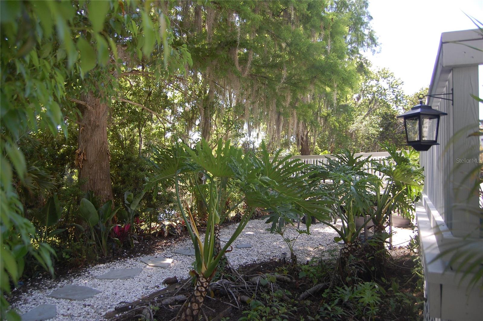 30230 PALM LN, WESLEY CHAPEL, FL, 33545