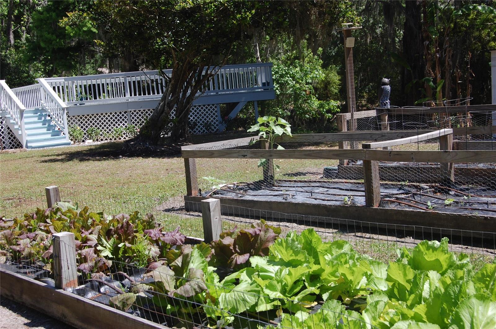 30230 PALM LN, WESLEY CHAPEL, FL, 33545