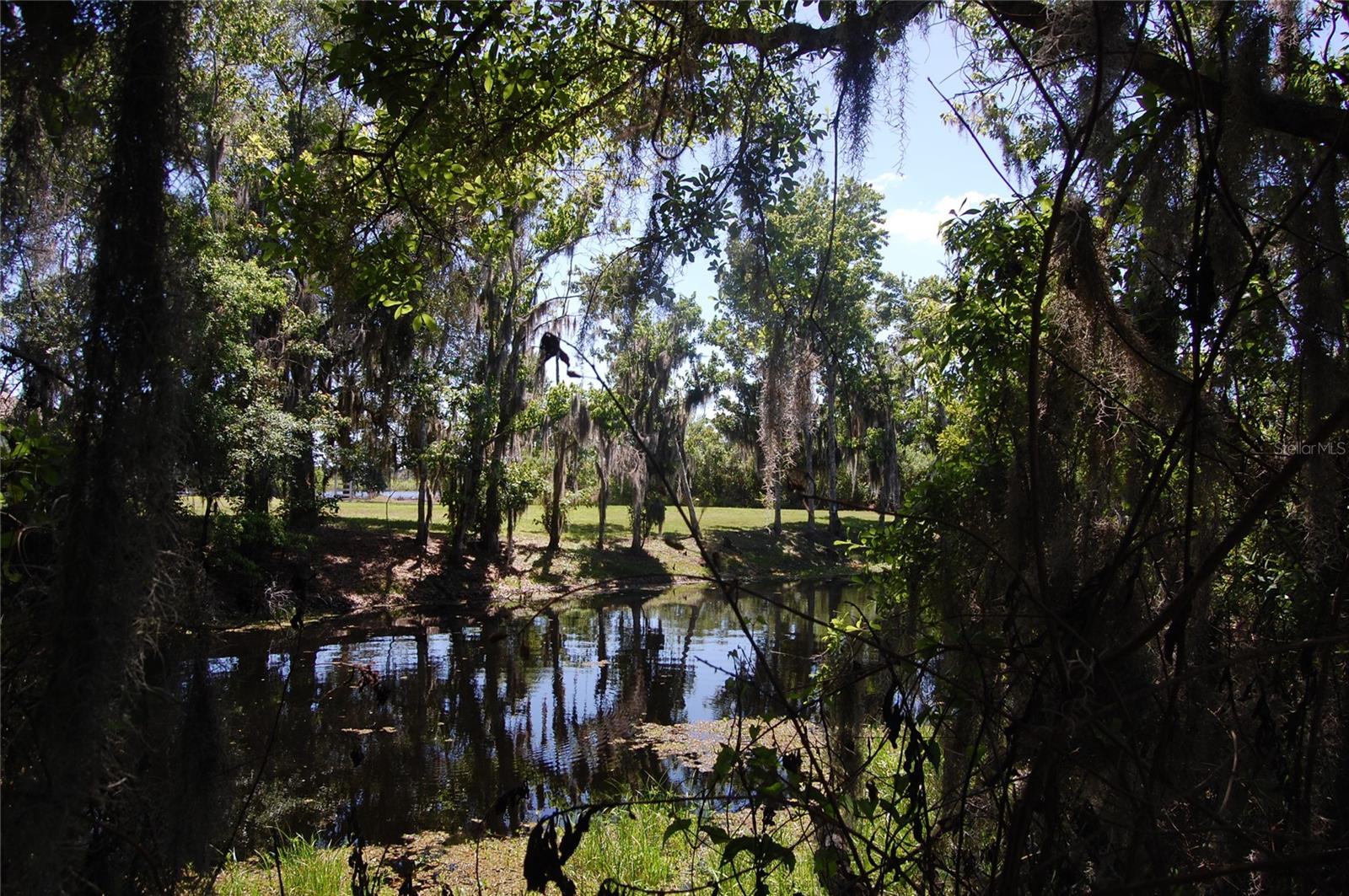 30230 PALM LN, WESLEY CHAPEL, FL, 33545