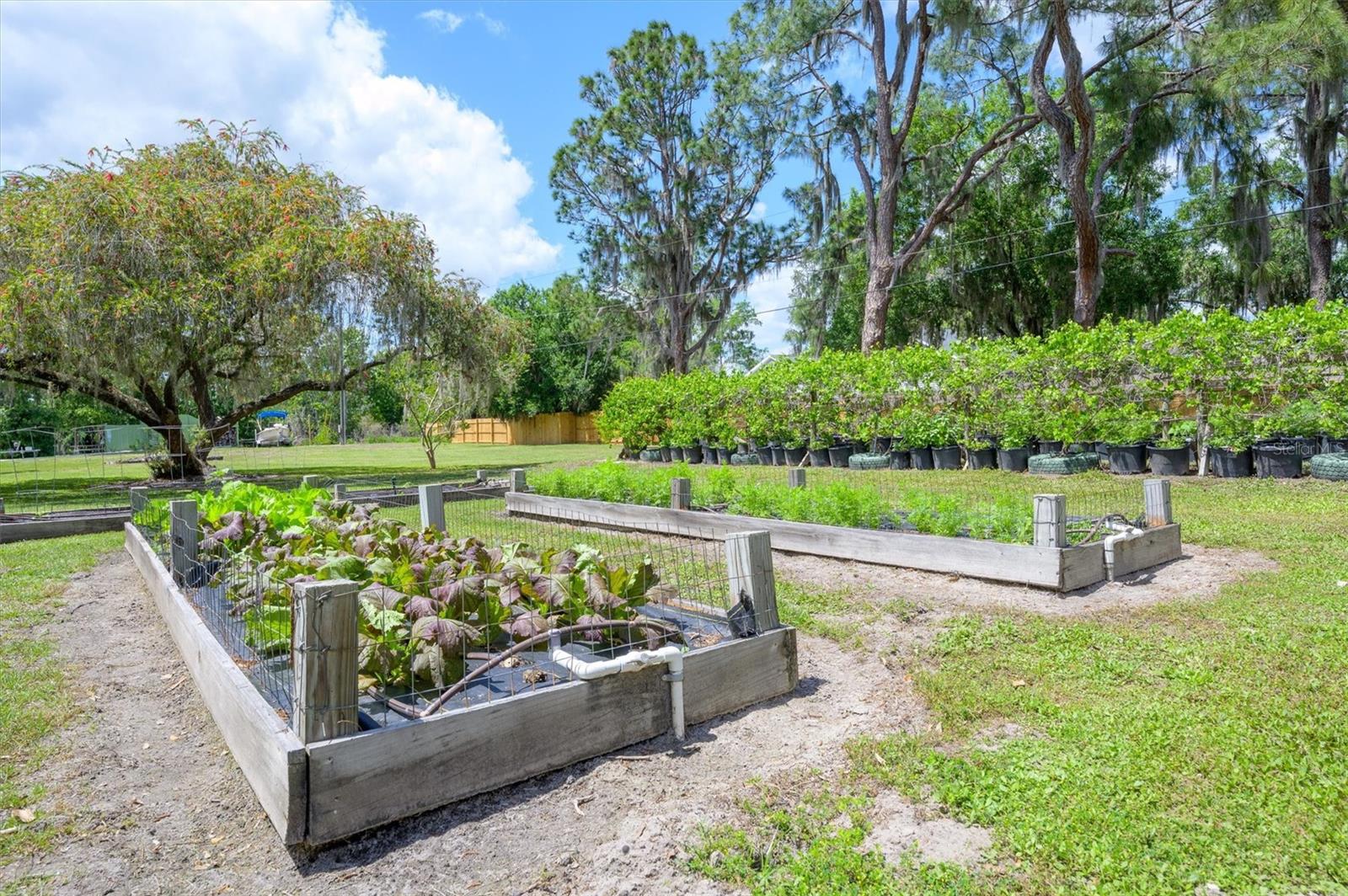 30230 PALM LN, WESLEY CHAPEL, FL, 33545