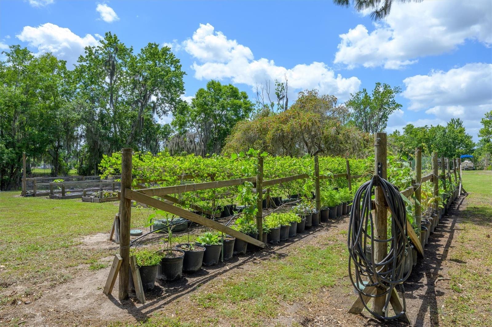 30230 PALM LN, WESLEY CHAPEL, FL, 33545