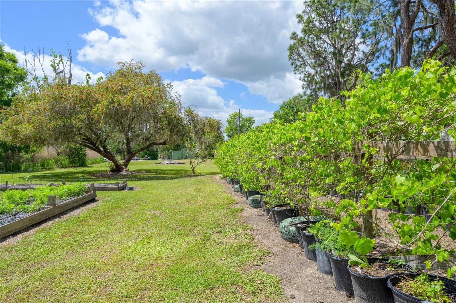 30230 PALM LN, WESLEY CHAPEL, FL, 33545