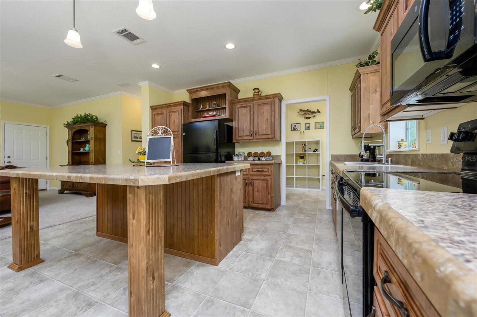 30230 PALM LN, WESLEY CHAPEL, FL, 33545