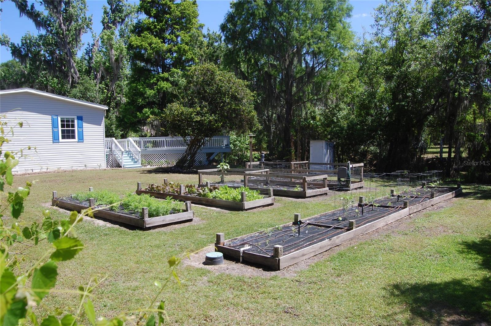 30230 PALM LN, WESLEY CHAPEL, FL, 33545