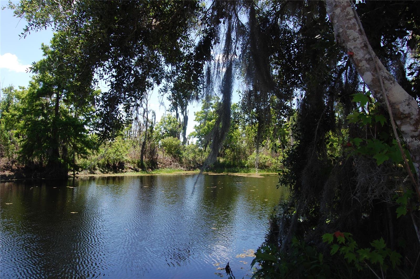 30230 PALM LN, WESLEY CHAPEL, FL, 33545