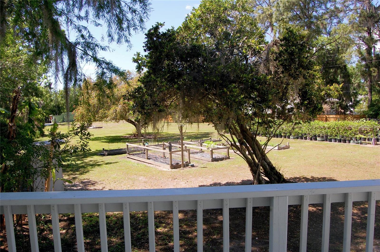 30230 PALM LN, WESLEY CHAPEL, FL, 33545