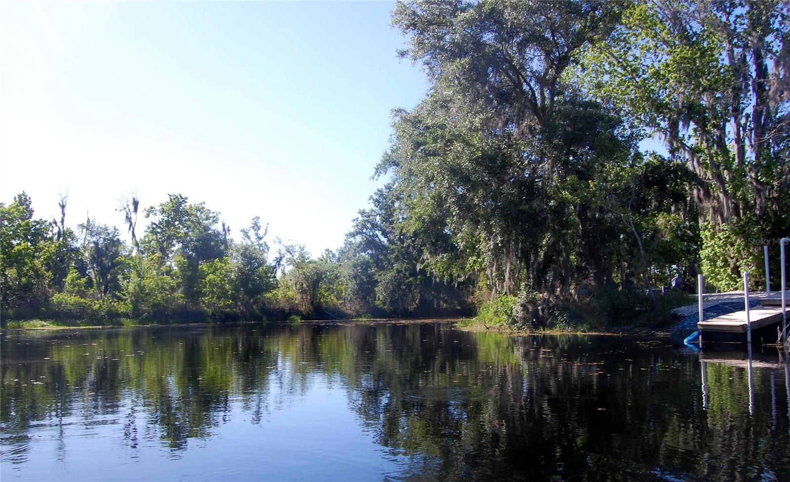 30230 PALM LN, WESLEY CHAPEL, FL, 33545