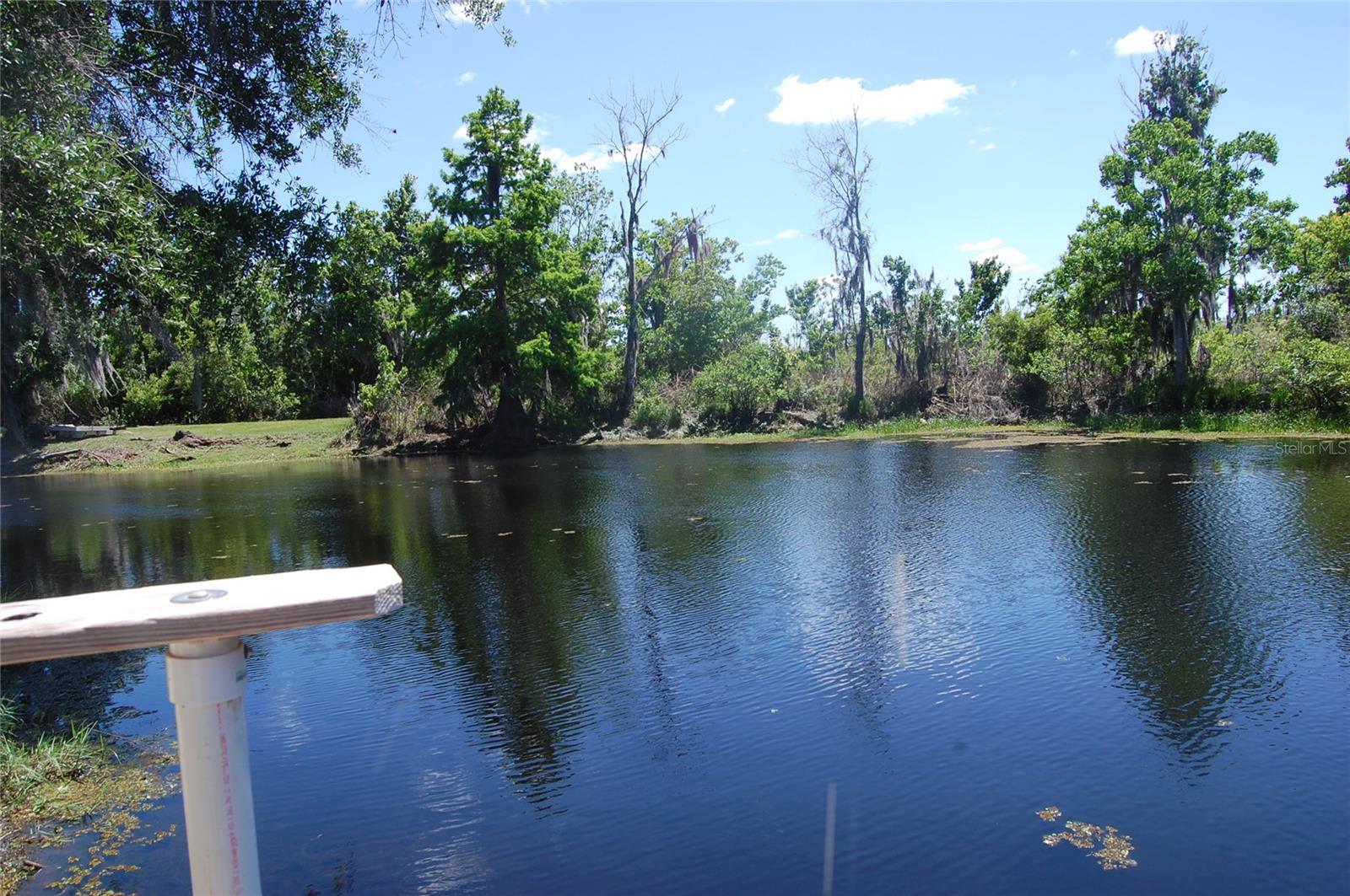 30230 PALM LN, WESLEY CHAPEL, FL, 33545