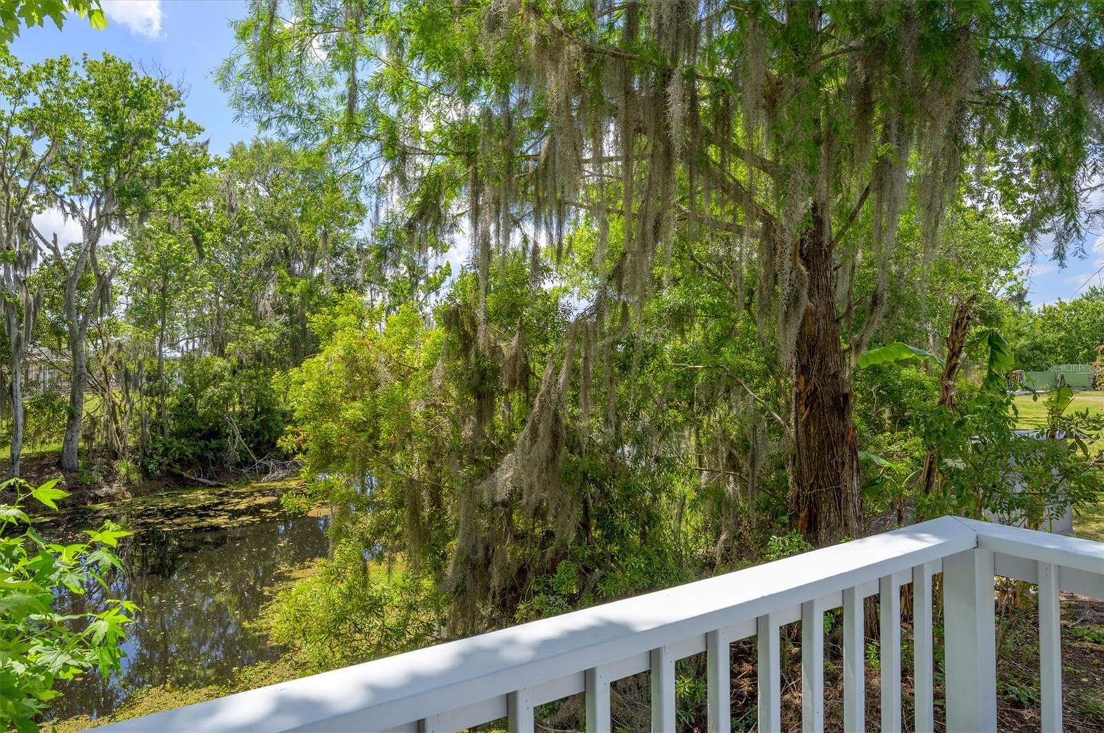 30230 PALM LN, WESLEY CHAPEL, FL, 33545