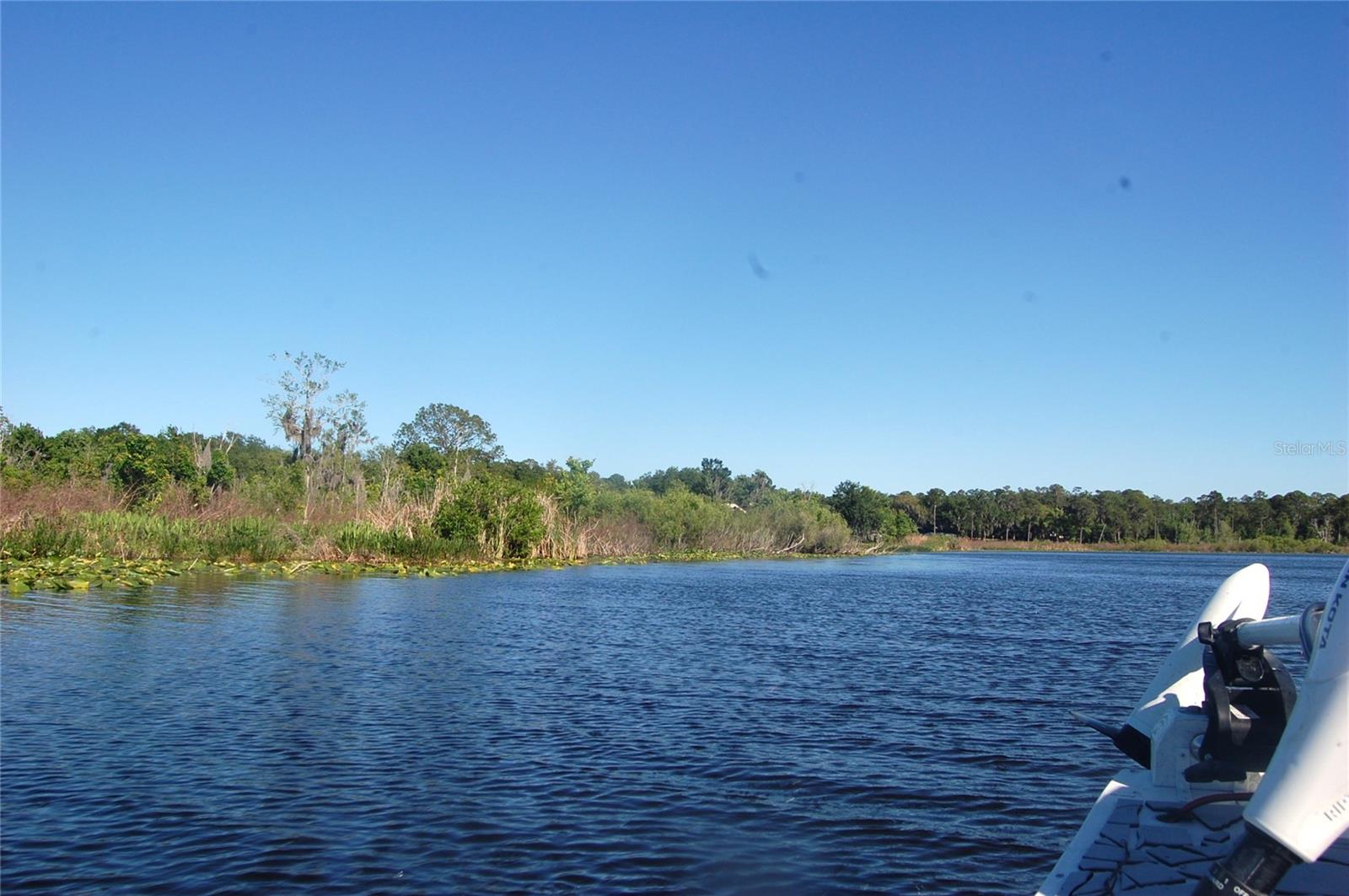 30230 PALM LN, WESLEY CHAPEL, FL, 33545