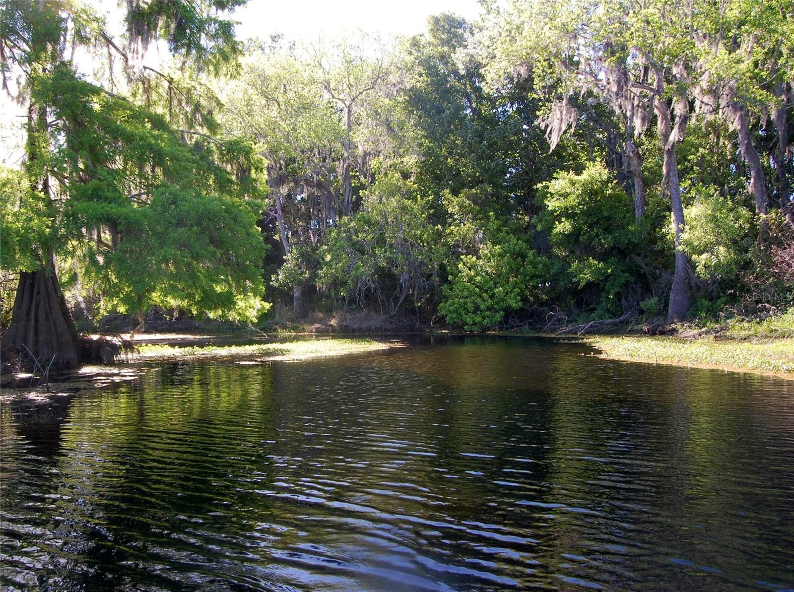 30230 PALM LN, WESLEY CHAPEL, FL, 33545