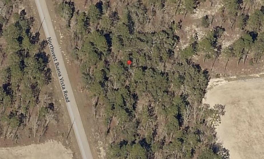 TBD NW BUENA VISTA RD, DUNNELLON, FL, 34431