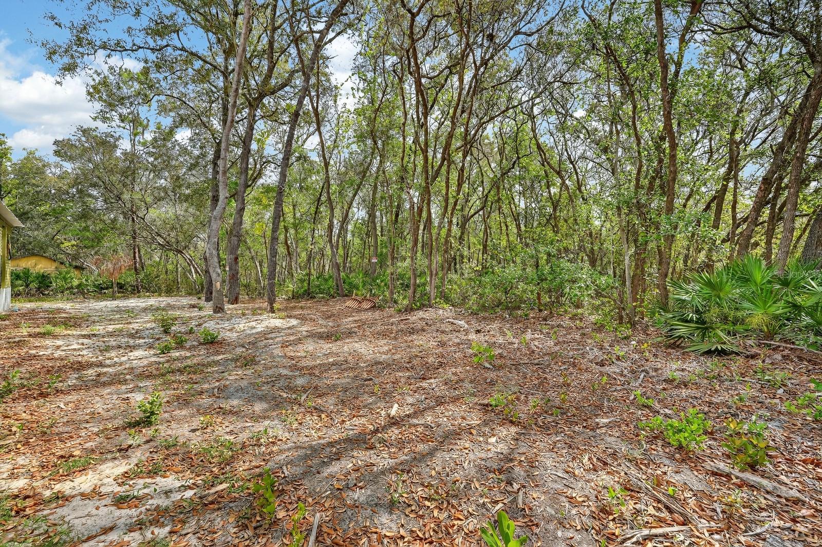 112 PALMER DR, INTERLACHEN, FL, 32148