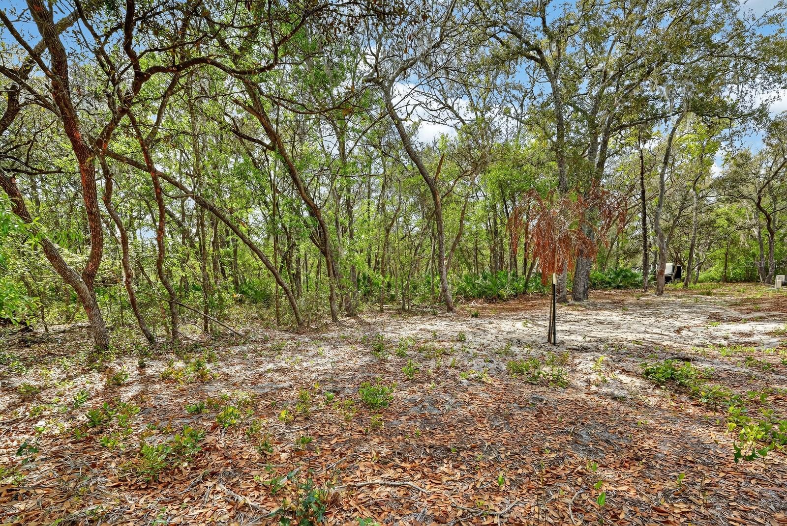 112 PALMER DR, INTERLACHEN, FL, 32148