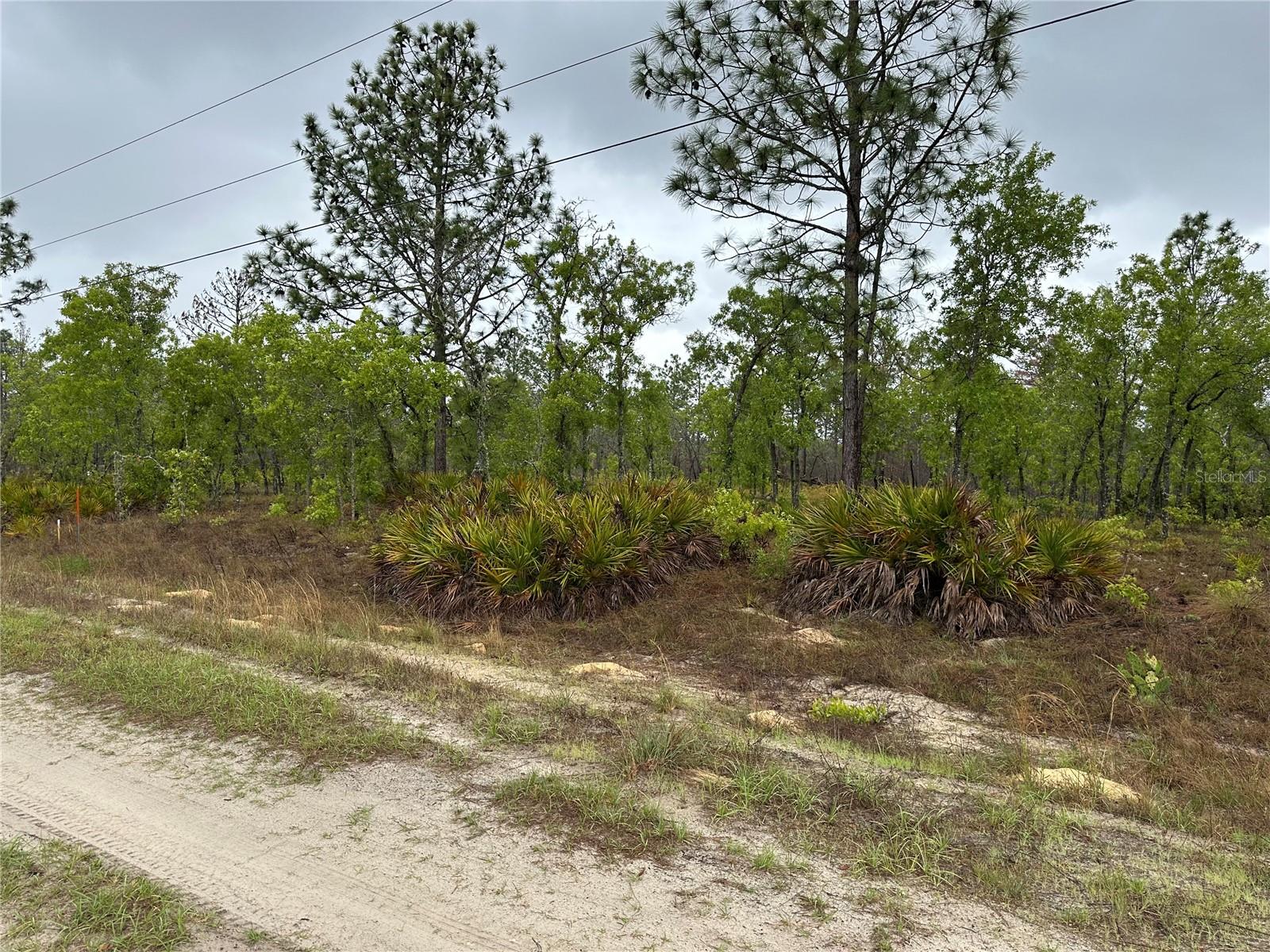 SW 95TH PL, DUNNELLON, FL, 34432