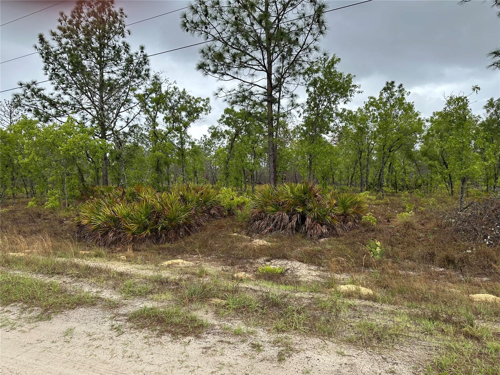 SW 95TH PL, DUNNELLON, FL, 34432