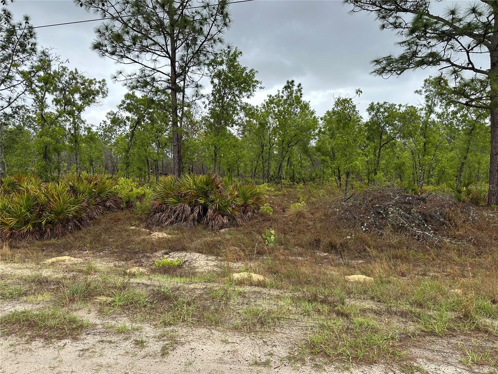 SW 95TH PL, DUNNELLON, FL, 34432