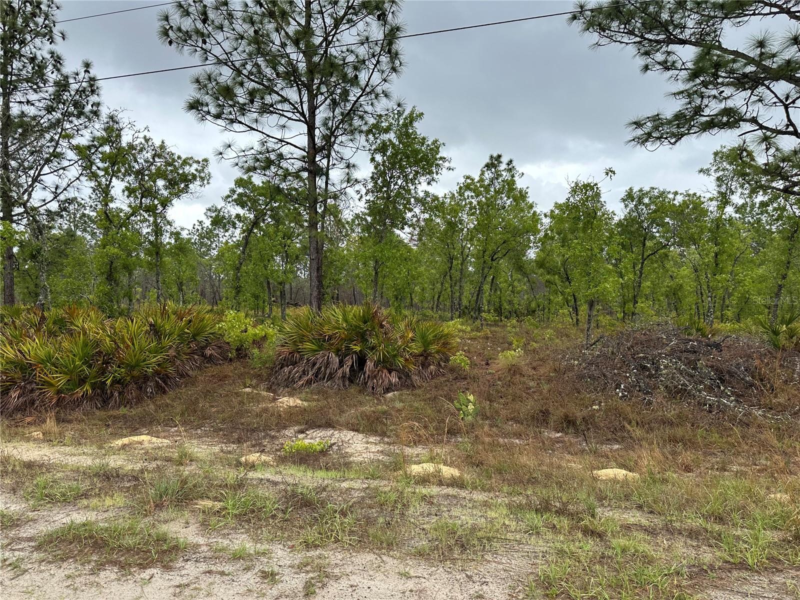 SW 95TH PL, DUNNELLON, FL, 34432