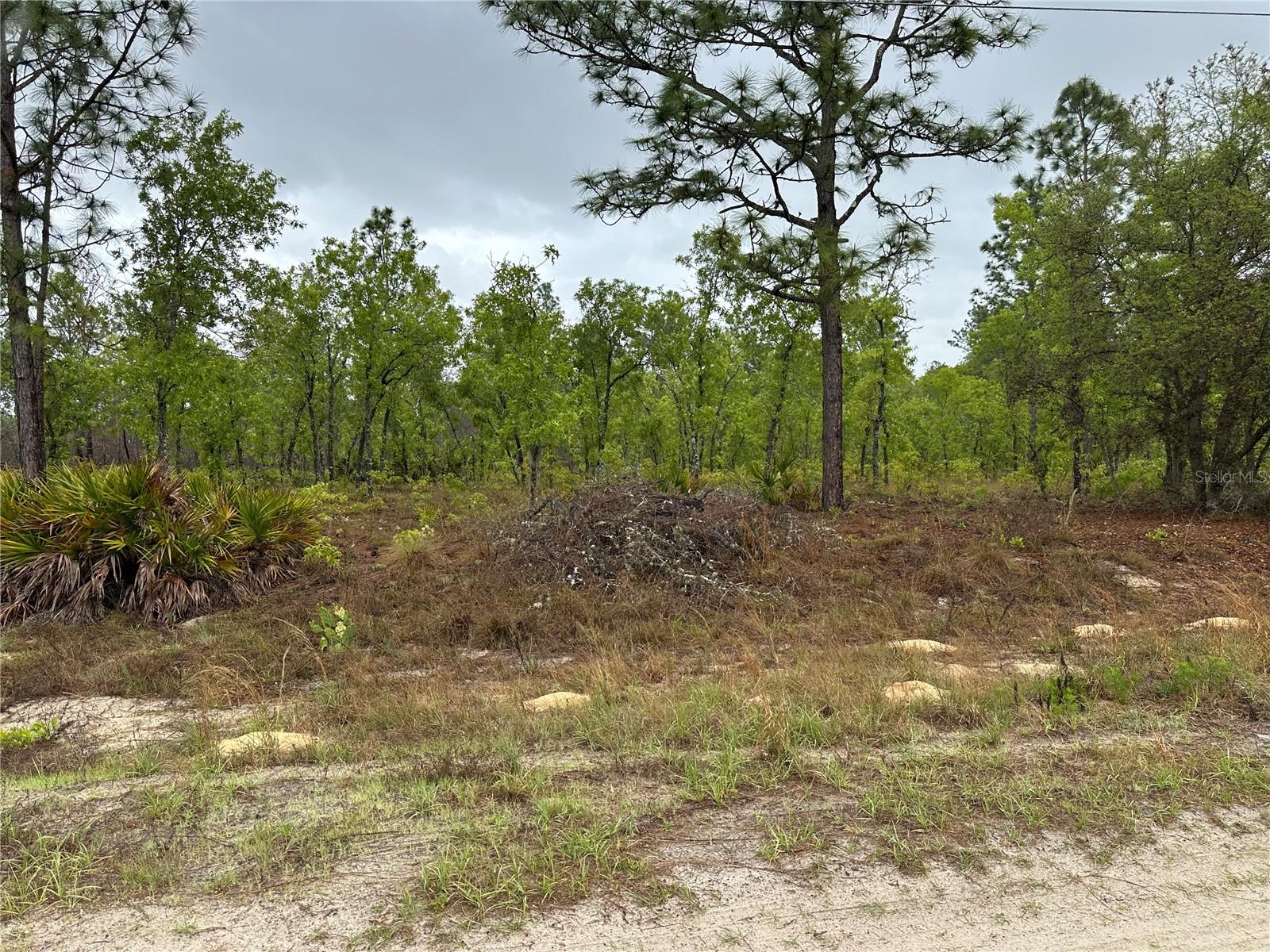 SW 95TH PL, DUNNELLON, FL, 34432