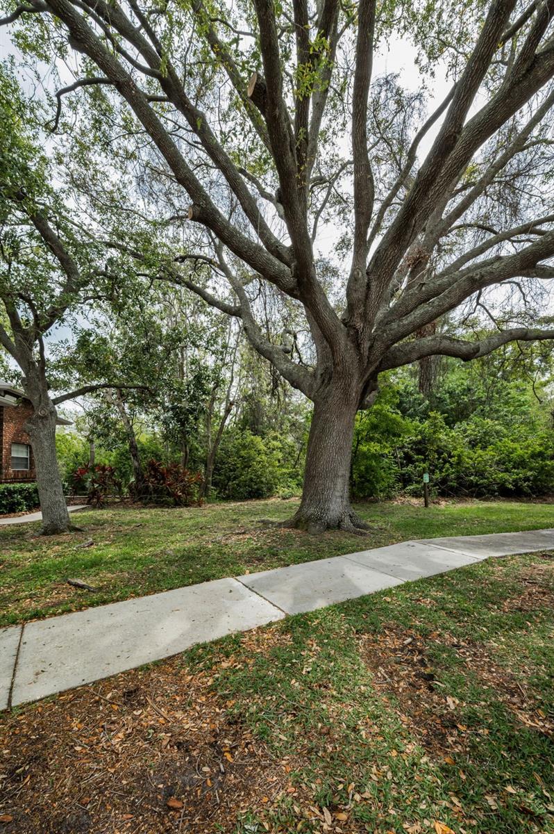 2997 EAGLE ESTATES CIR E, CLEARWATER, FL, 33761