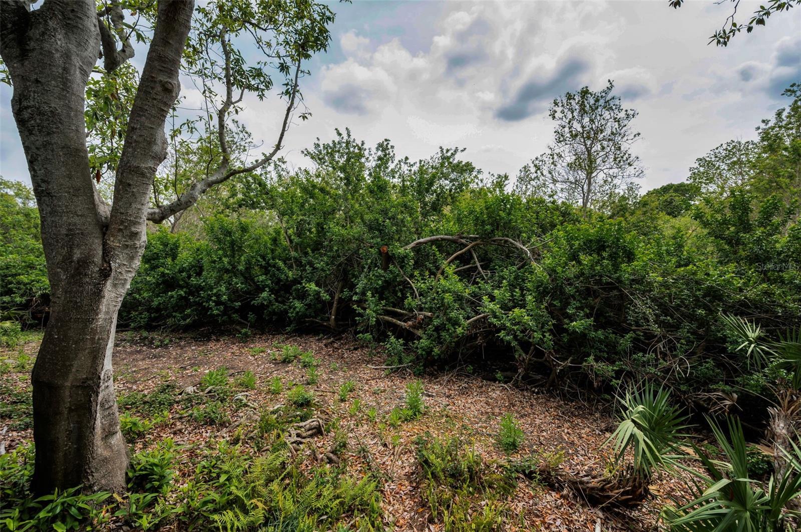 2997 EAGLE ESTATES CIR E, CLEARWATER, FL, 33761