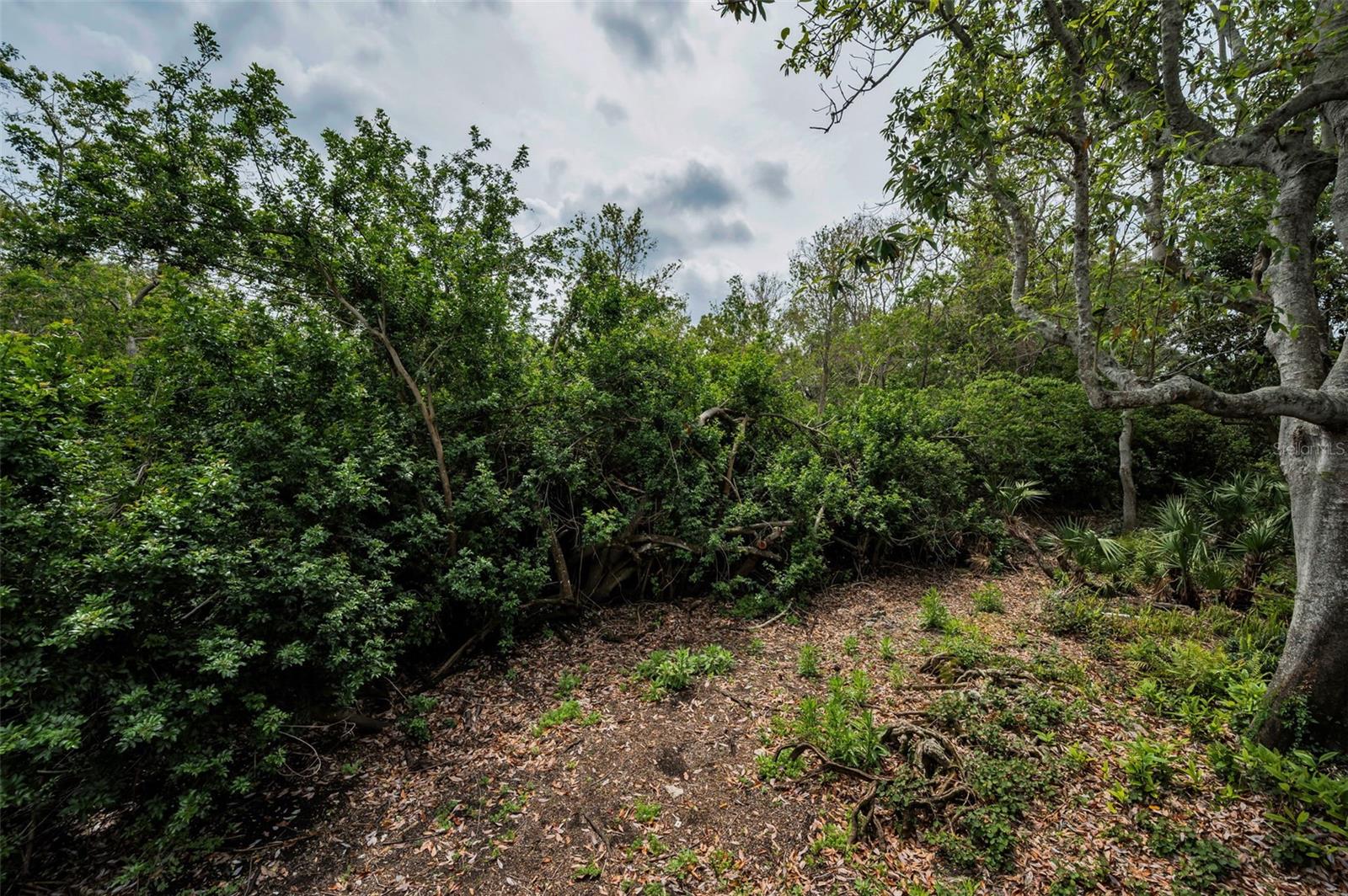 2997 EAGLE ESTATES CIR E, CLEARWATER, FL, 33761