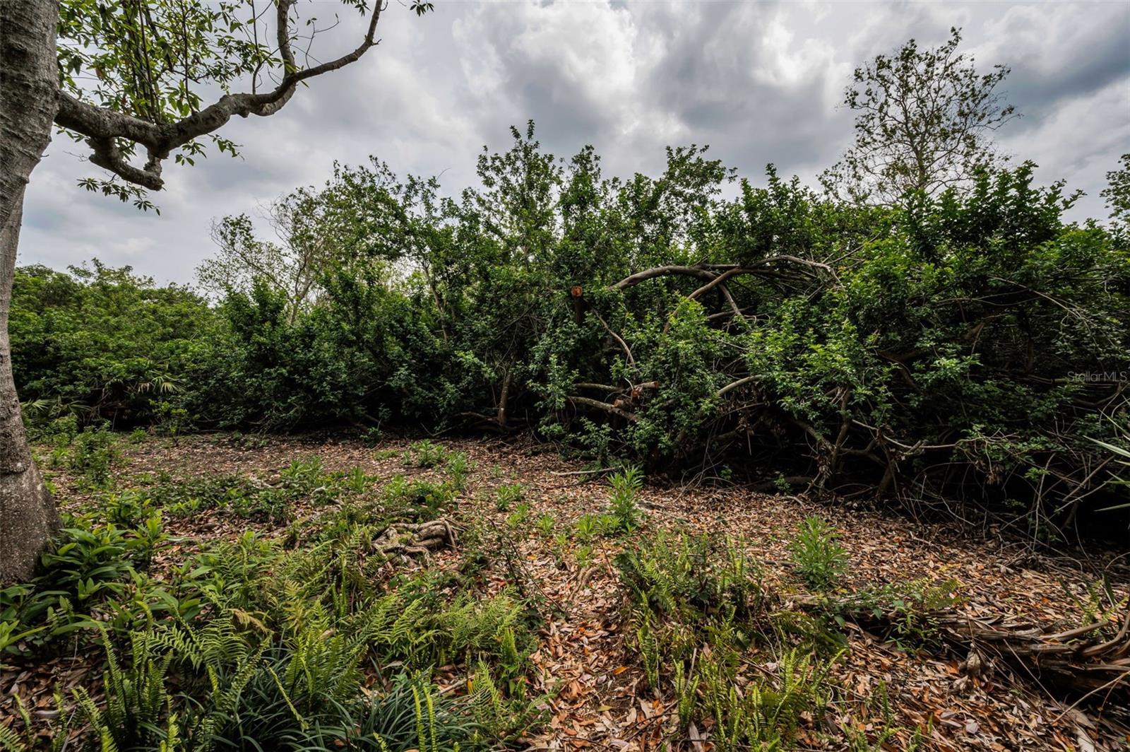 2997 EAGLE ESTATES CIR E, CLEARWATER, FL, 33761