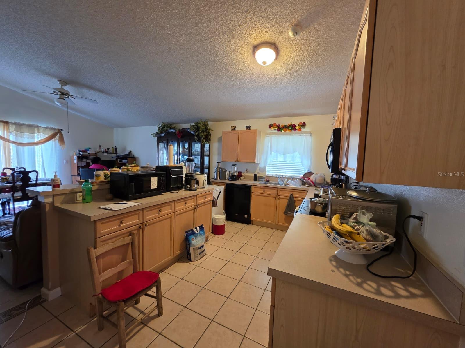 2319 LILY PAD LN, KISSIMMEE, FL, 34743