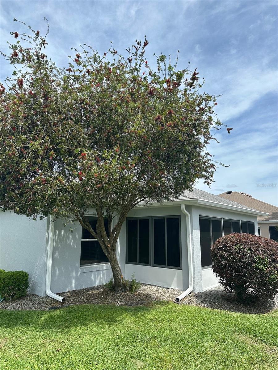 1253 ADDISON AVE, THE VILLAGES, FL, 32162