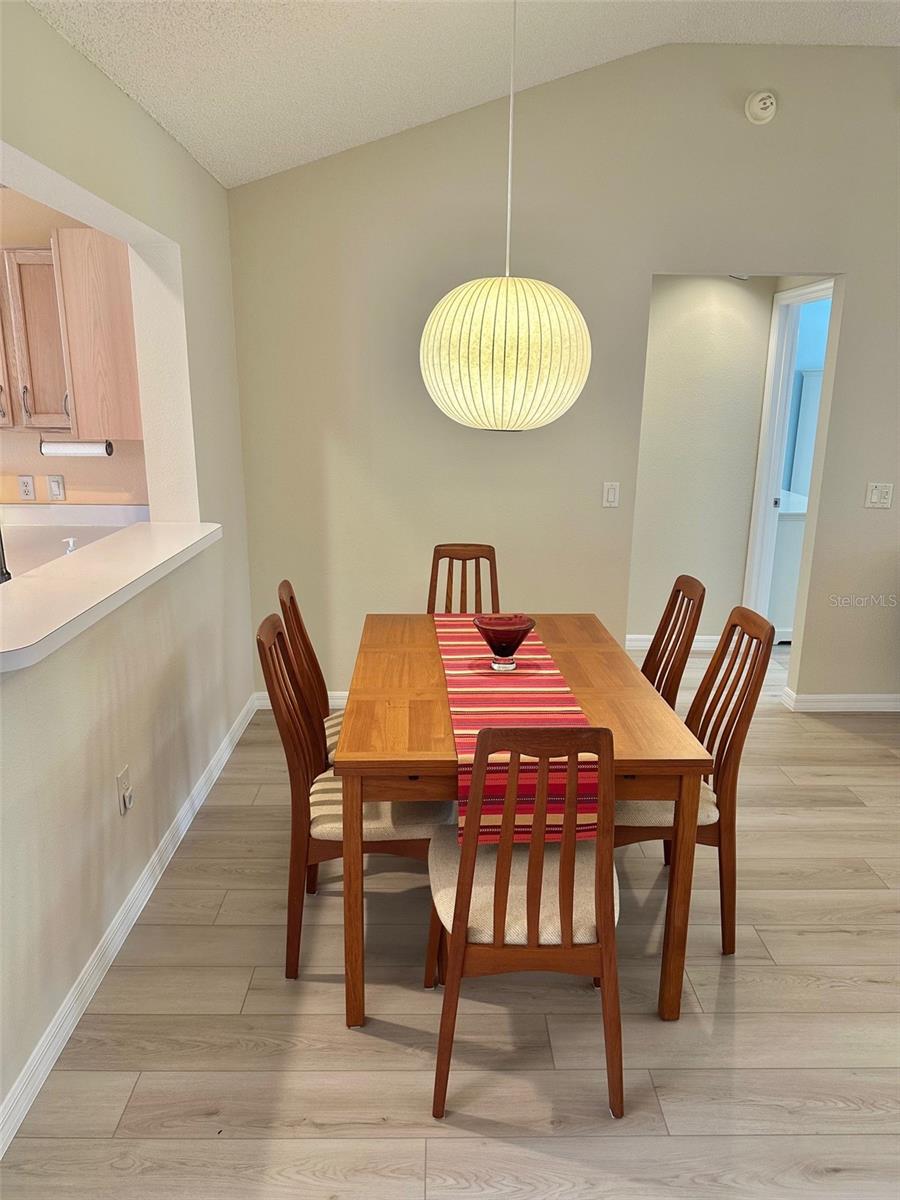 1253 ADDISON AVE, THE VILLAGES, FL, 32162