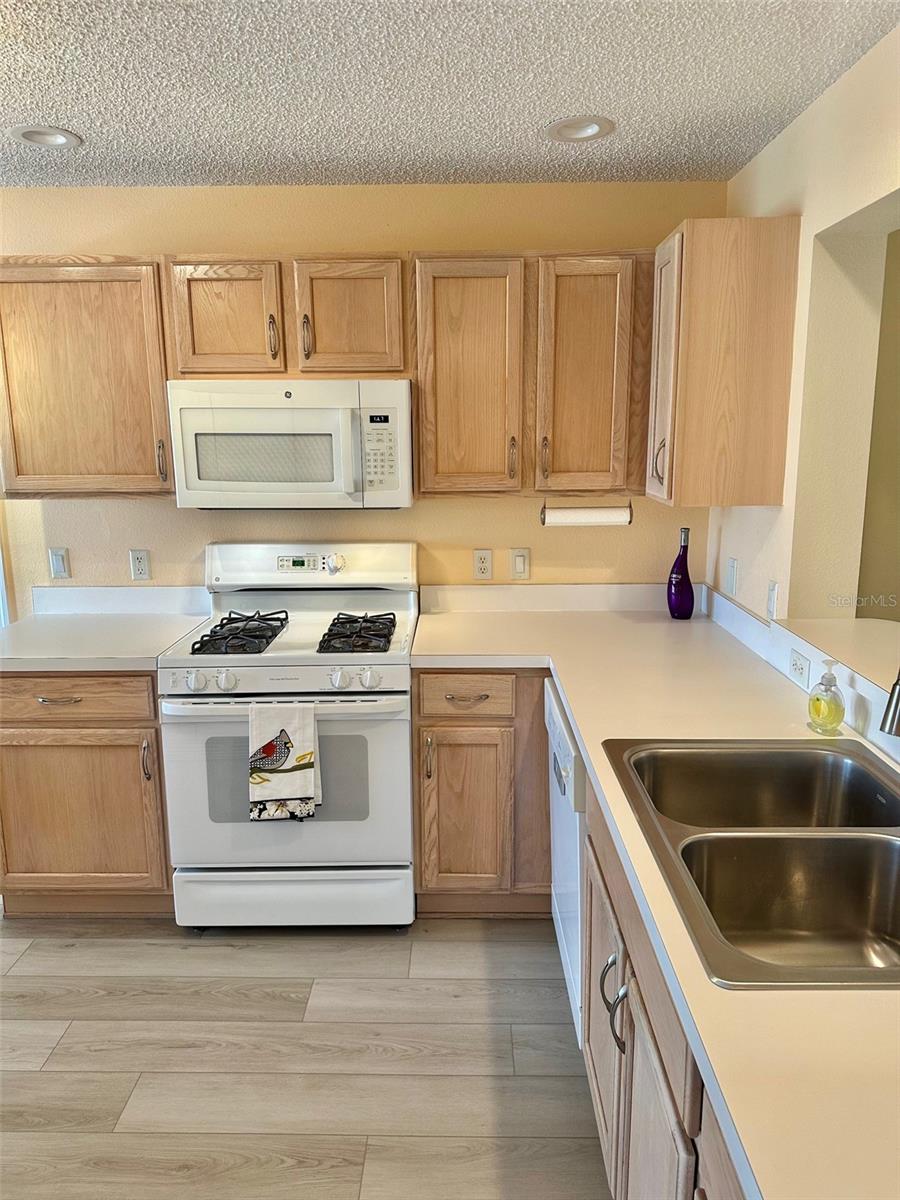 1253 ADDISON AVE, THE VILLAGES, FL, 32162