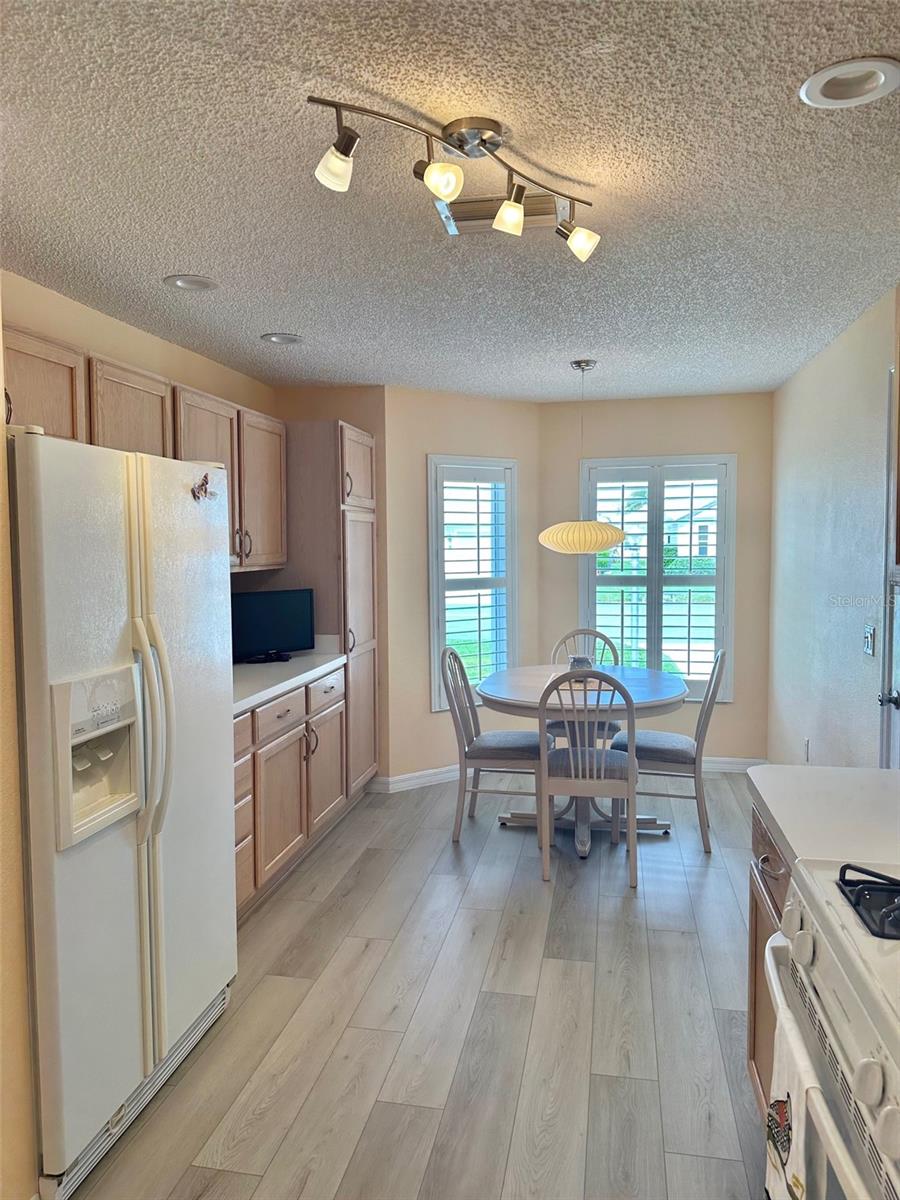 1253 ADDISON AVE, THE VILLAGES, FL, 32162