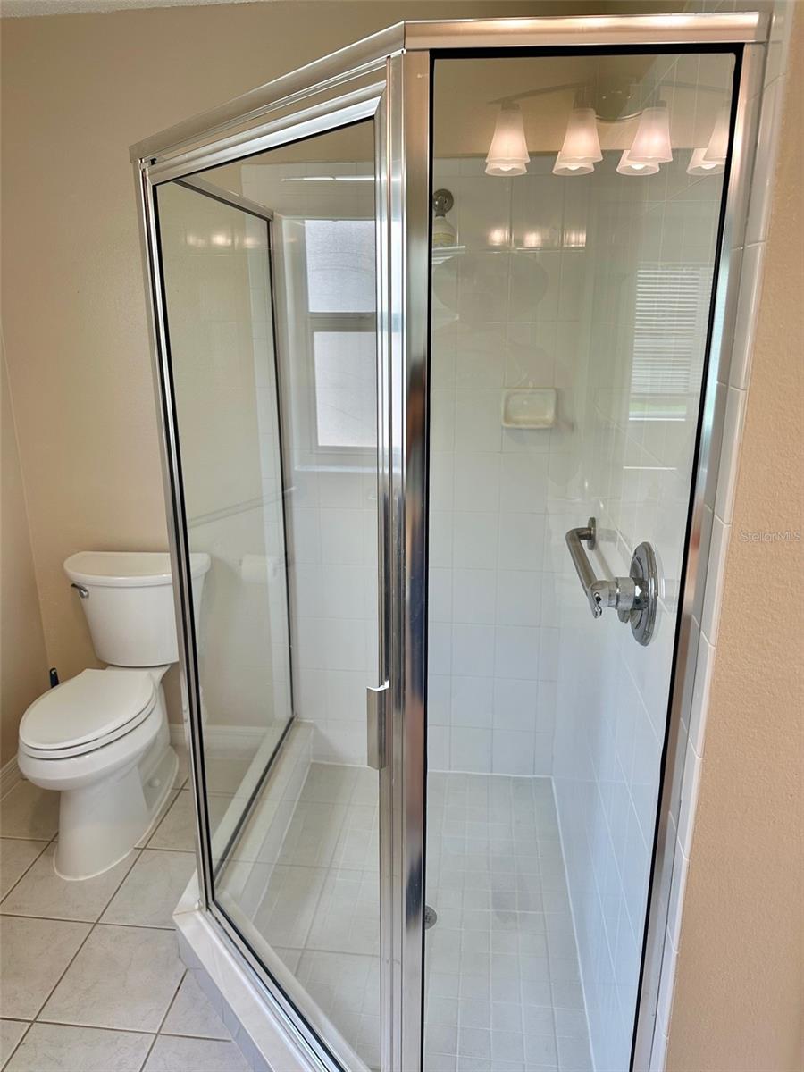 1253 ADDISON AVE, THE VILLAGES, FL, 32162