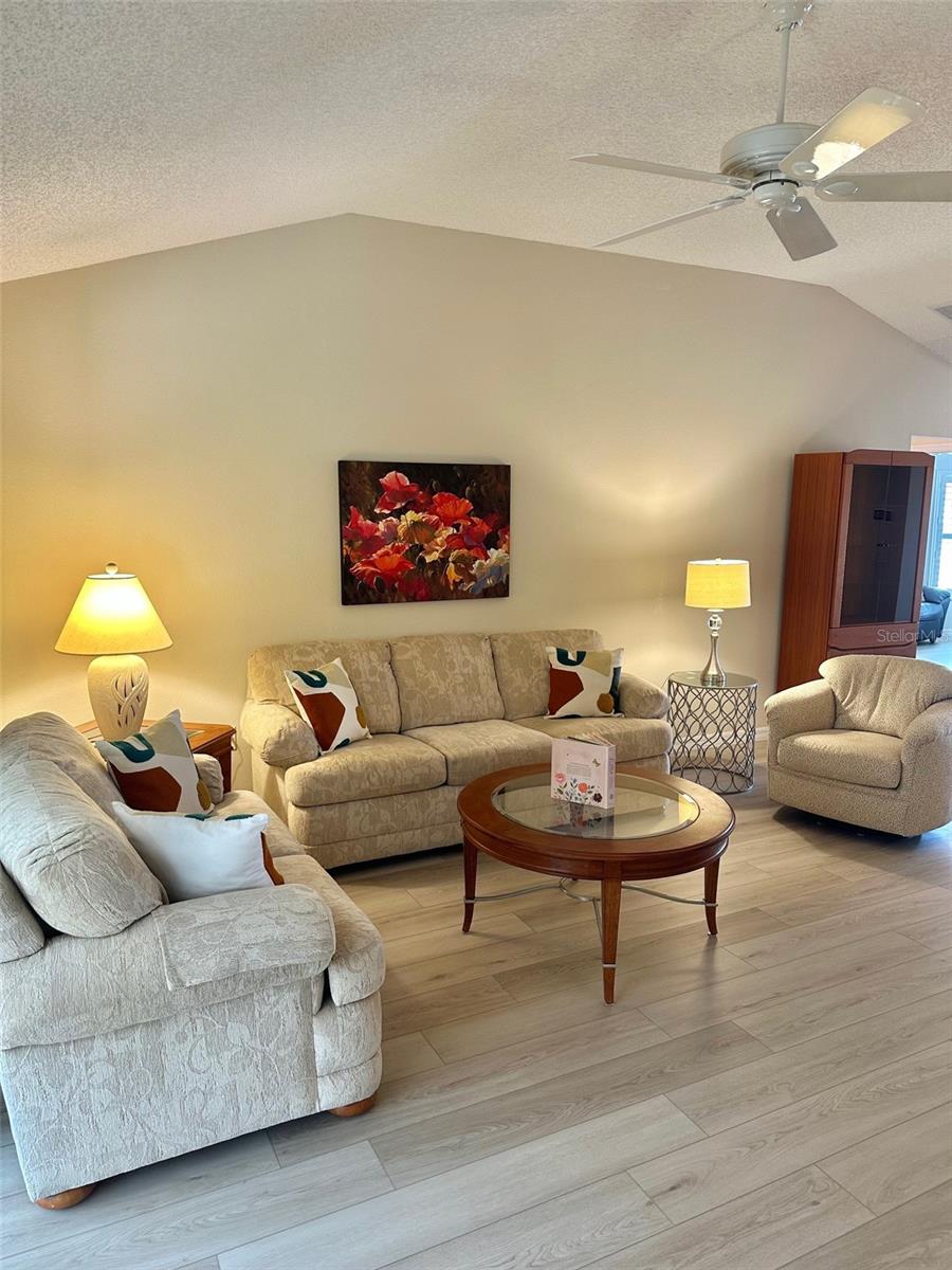 1253 ADDISON AVE, THE VILLAGES, FL, 32162