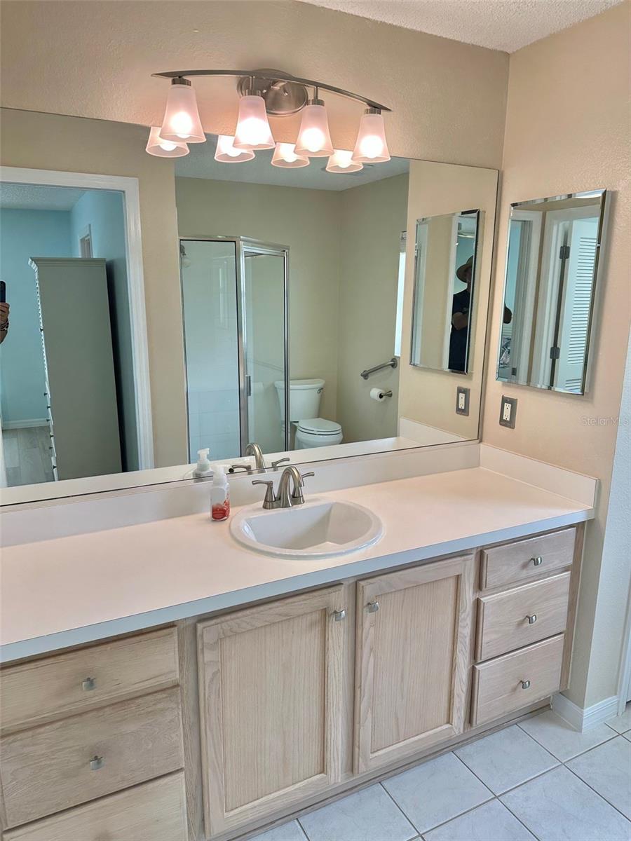 1253 ADDISON AVE, THE VILLAGES, FL, 32162