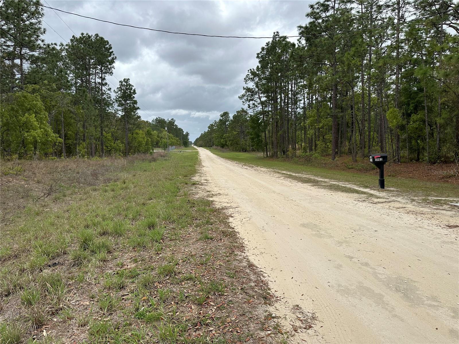 SW 125TH COURT RD, DUNNELLON, FL, 34432