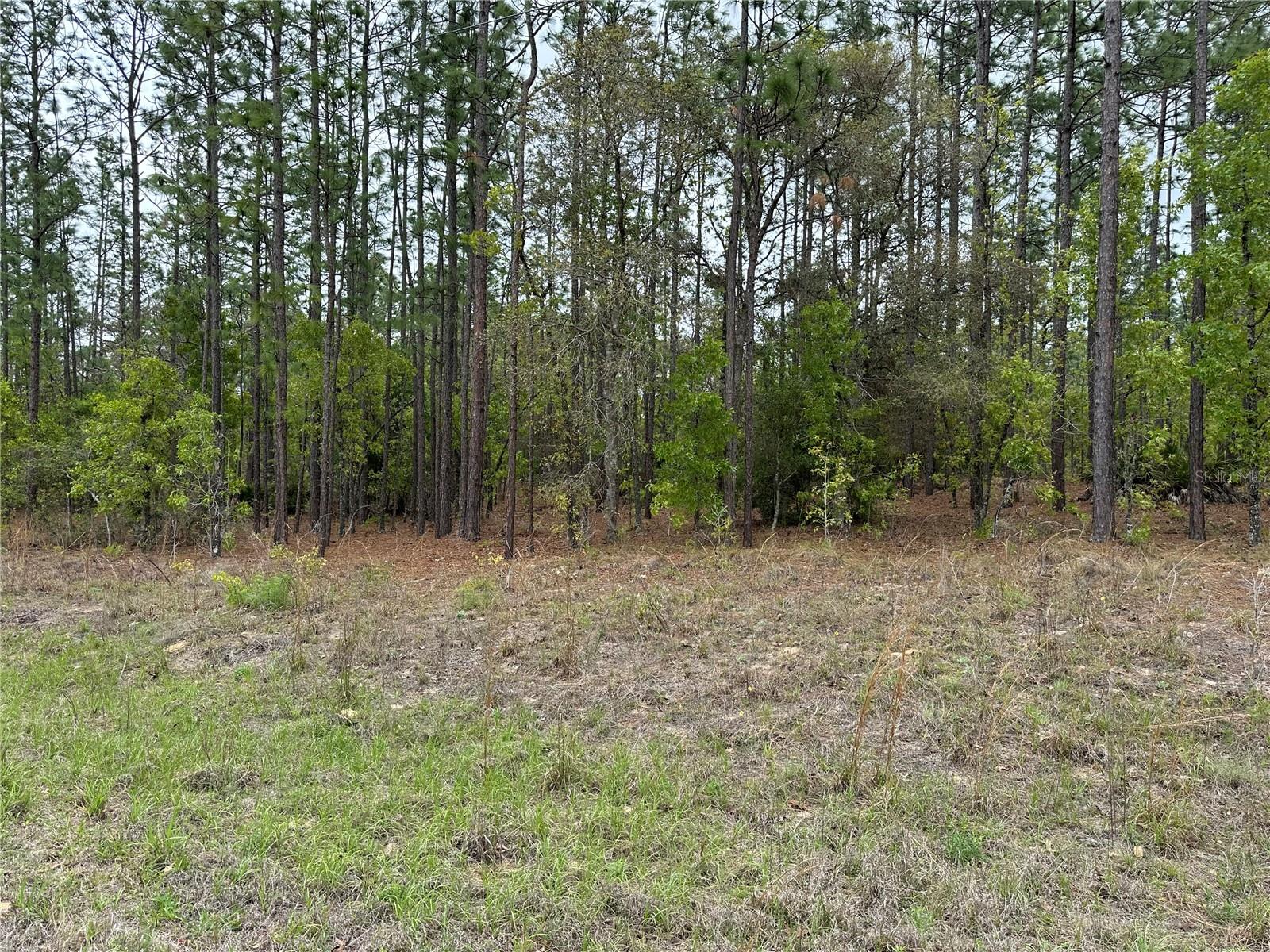 SW 125TH COURT RD, DUNNELLON, FL, 34432