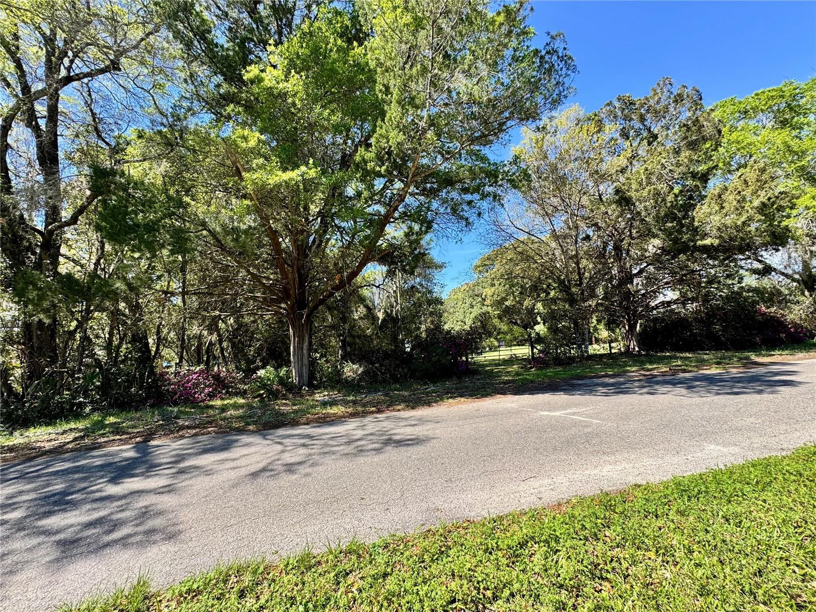 1336 NE 191ST TER, HAWTHORNE, FL, 32640