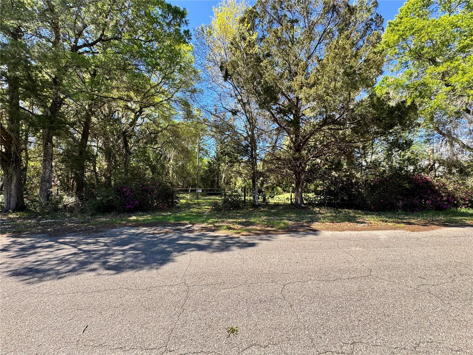 1336 NE 191ST TER, HAWTHORNE, FL, 32640