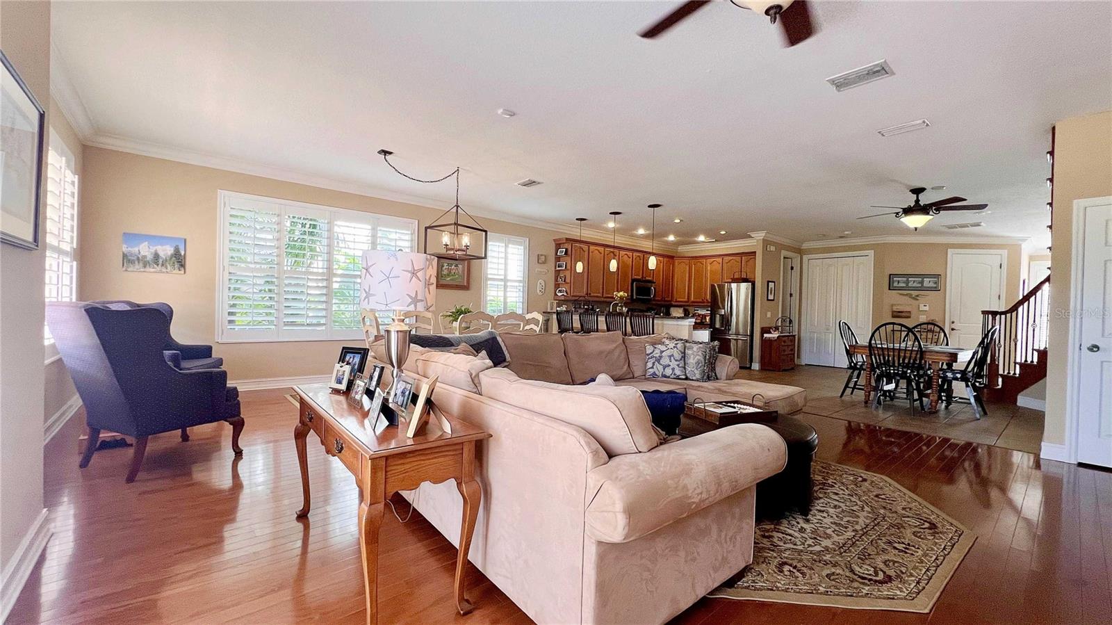 1266 RIBOLLA DR, PALM HARBOR, FL, 34683