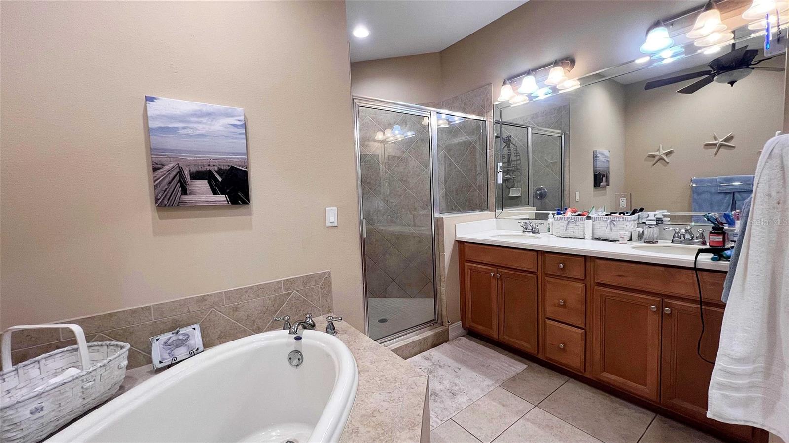 1266 RIBOLLA DR, PALM HARBOR, FL, 34683